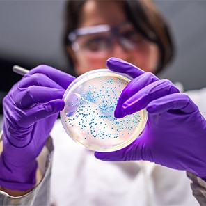 Clinical Microbiology